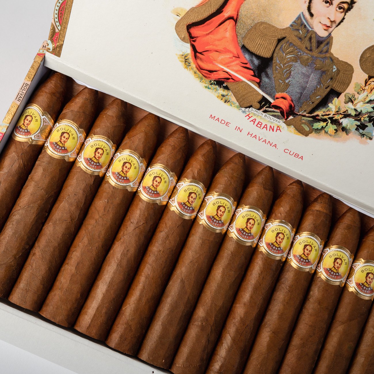 Bolivar Belicosos Finos (25) - Image 2