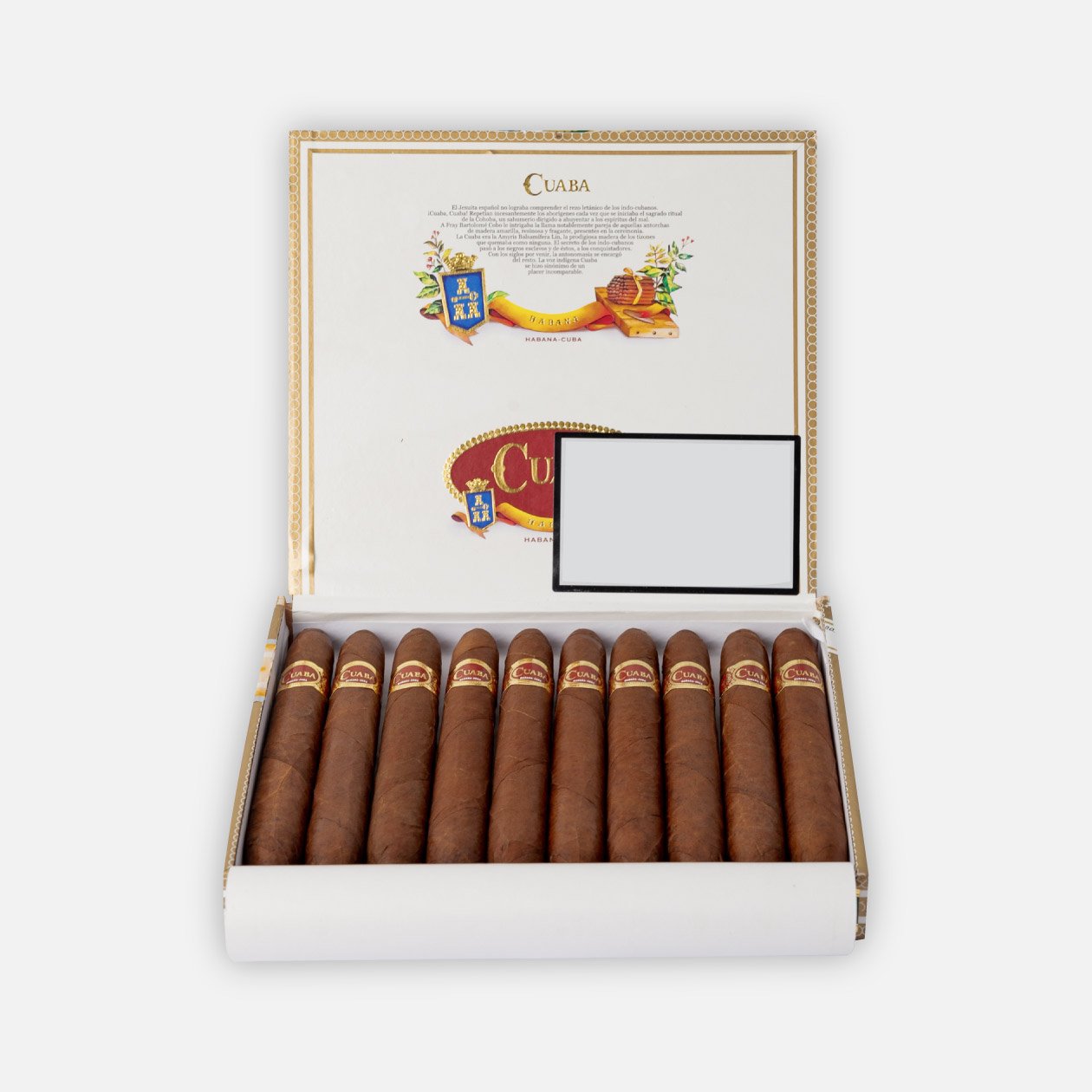 Cuaba Salomon (10)