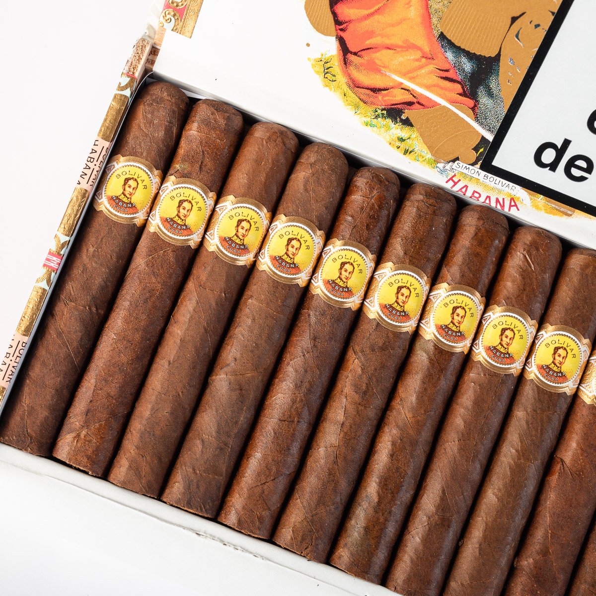 BOLIVAR CORONAS JUNIOR (25) - Image 2