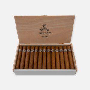 MONTECRISTO EDMUNDO (25)