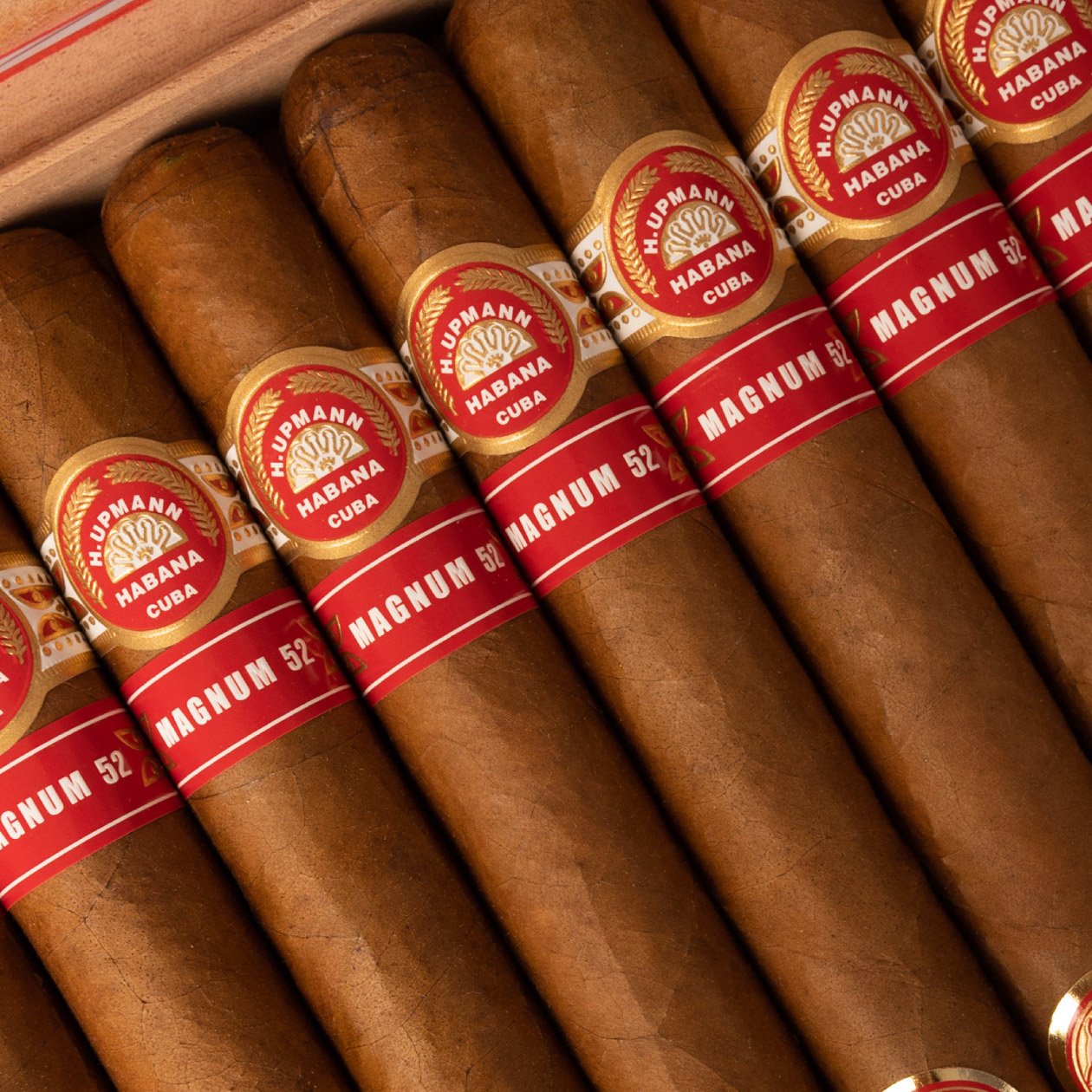 H.UPMANN MAGNUM 52 (18) YEAR OF THE TIGER - Image 2