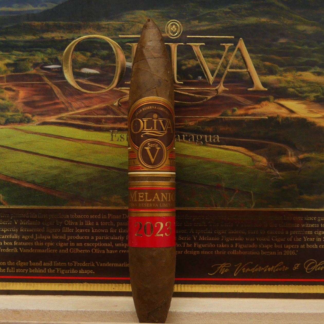 Oliva Limited Edition 2023 Figuriño (10) - Image 2
