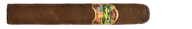 OLIVA MASTER BLEND Robusto 5 X 50 (20) - Image 4