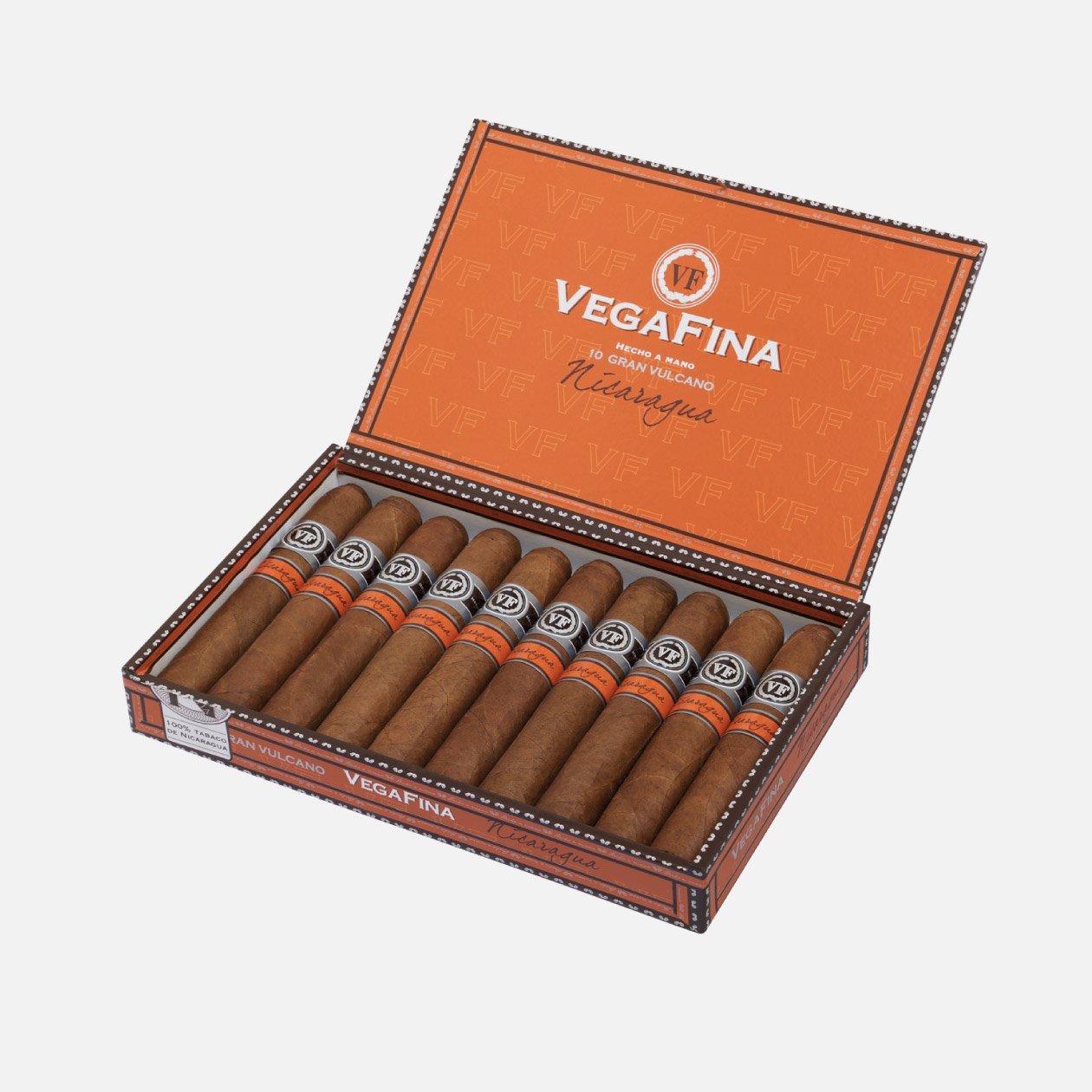 VEGAFINA NICARAGUA VULCANO (10)