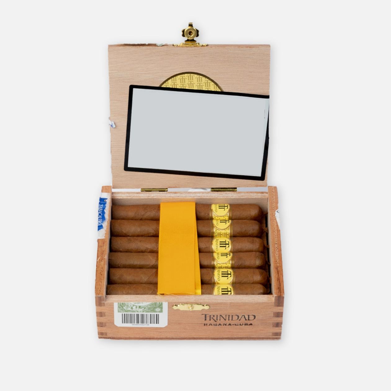 TRINIDAD REYES (12)