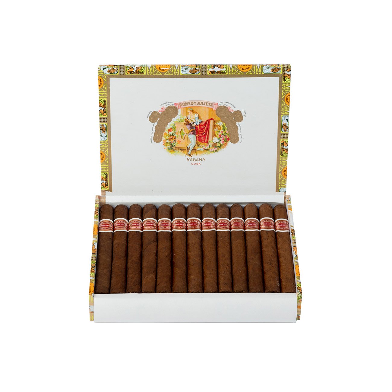 ROMEO Y JULIETA SPORT LARGOS (25) - Image 3