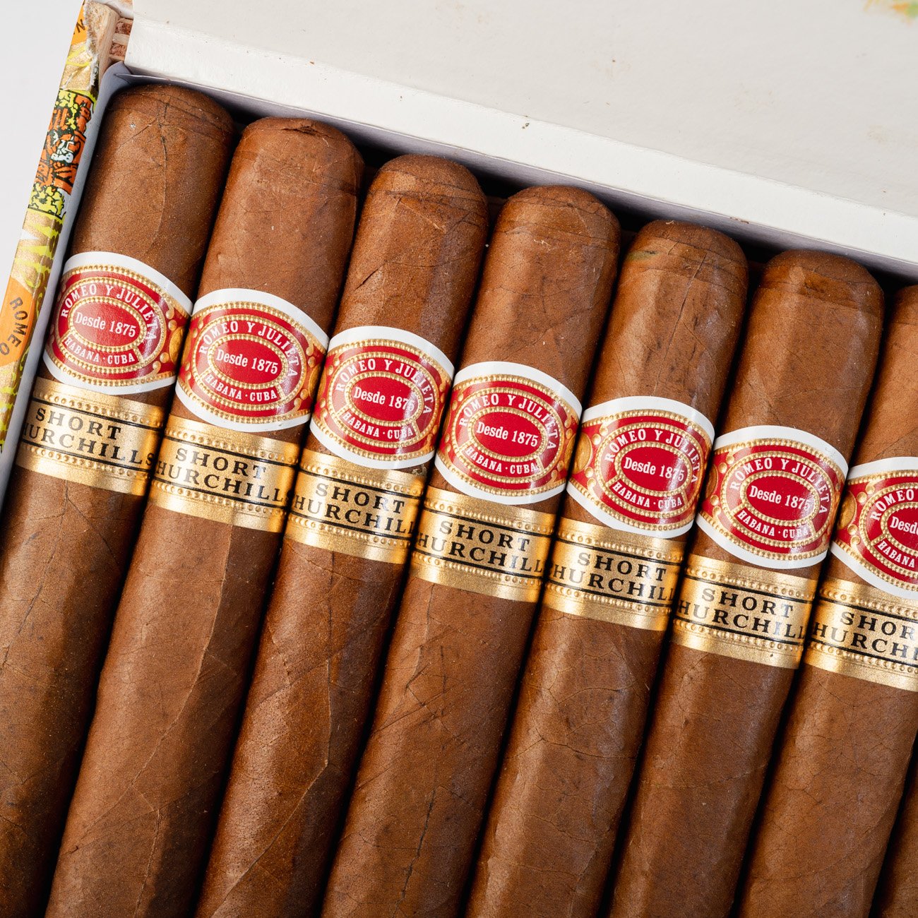 Romeo y Julieta Short Churchill (25) - Image 2
