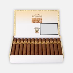 S. CRISTOBAL DE LA HABANA LA PUNTA (25)