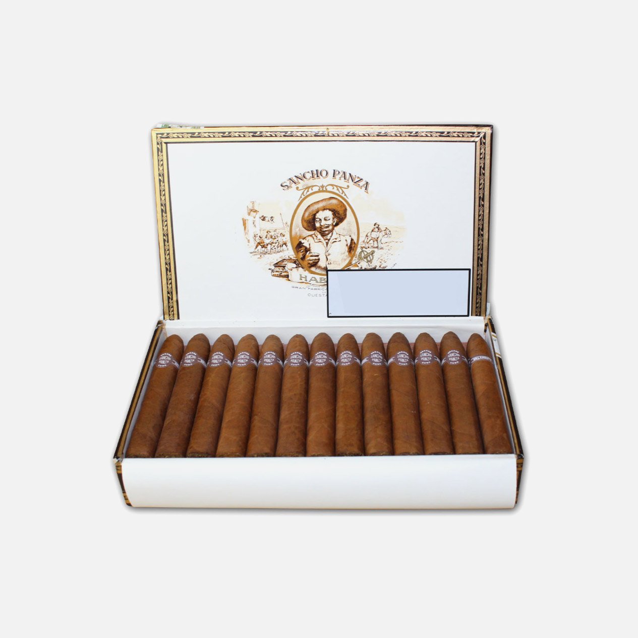 SANCHO PANZA BELICOSOS (25)
