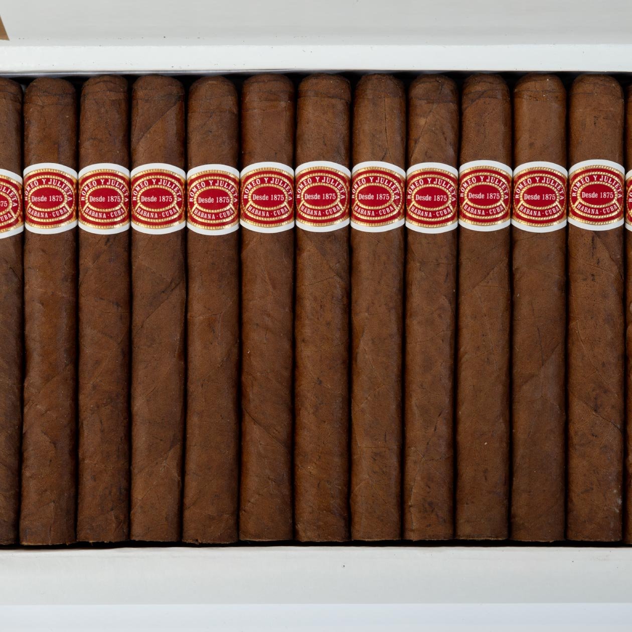 ROMEO Y JULIETA SPORT LARGOS (25) - Image 2