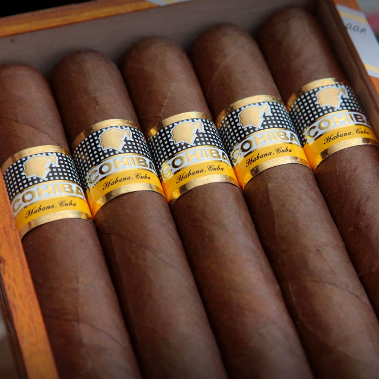 Cohiba Siglo VI (10) - Image 2