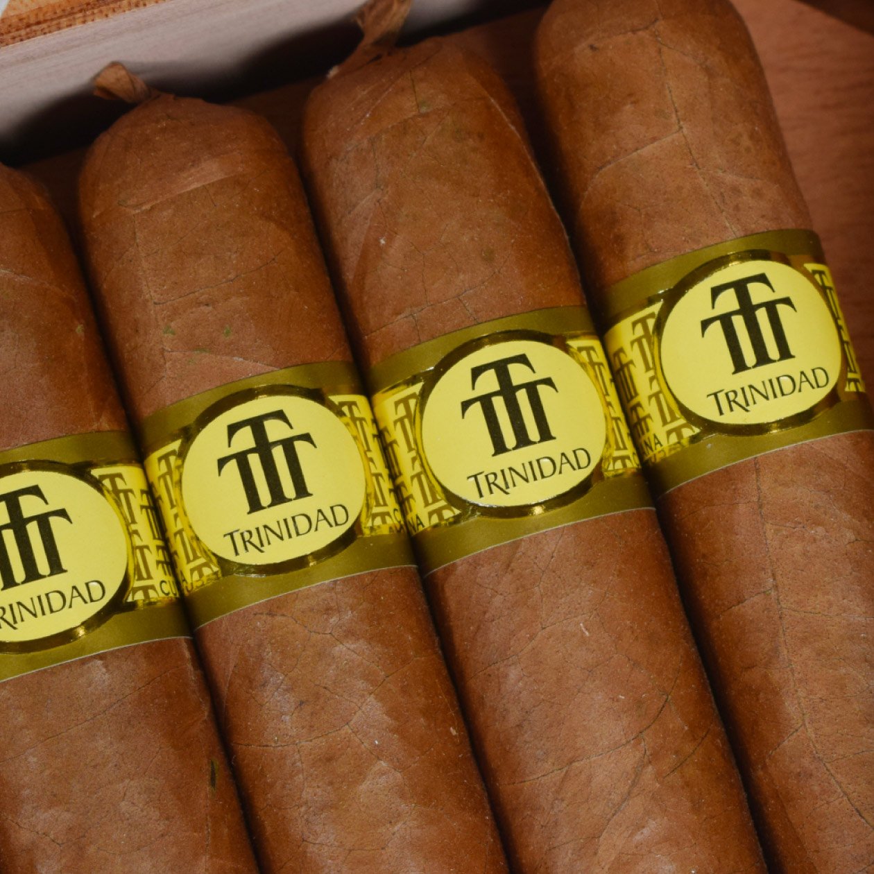 TRINIDAD VIGIA (12) - Image 2