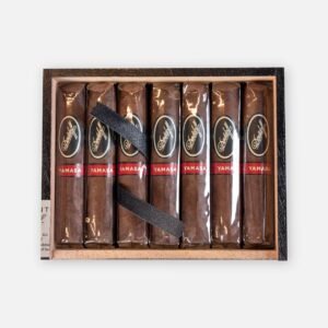 Davidoff Yamasa Petit Churchill (14)