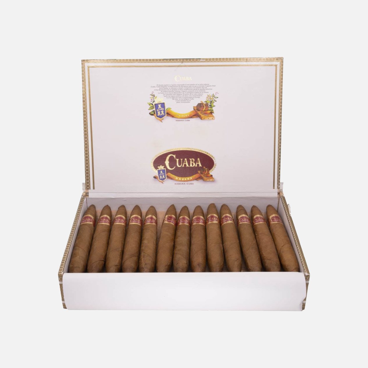 CUABA EXCLUSIVOS (25)