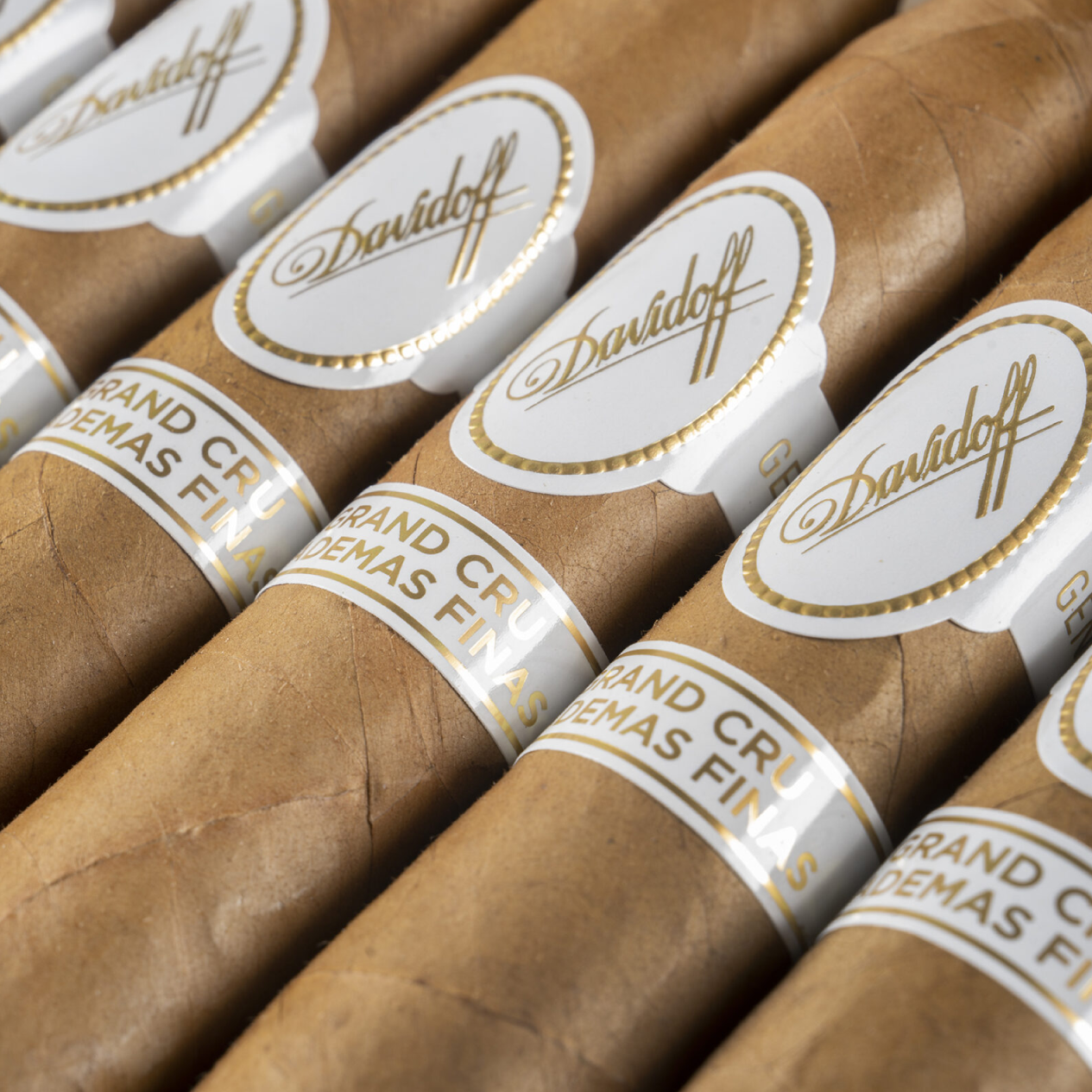 DAVIDOFF GRAN CRU DIADEMAS FINAS LIMITED EDITION 2024 (10) - Image 2