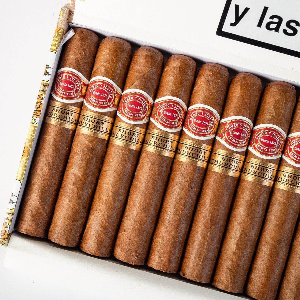 ROMEO Y JULIETA SHORT CHURCHILL (10) - Image 2